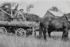 Robert-Coad-carting-tobacco-rolls