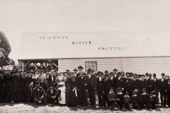 opening-of-the-Tawonga-Butter-Factory-1902