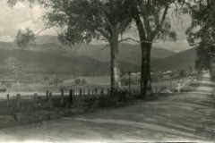 view-along-Kiewa-Valley-Hwy-south-of-Mongans-Bridge